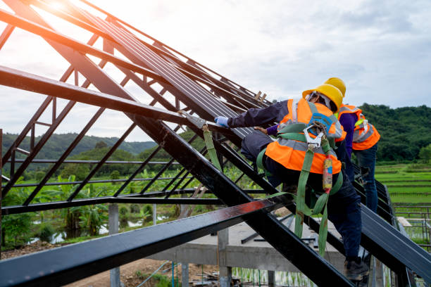 Best Residential Roofing Contractor  in Ronan, MT