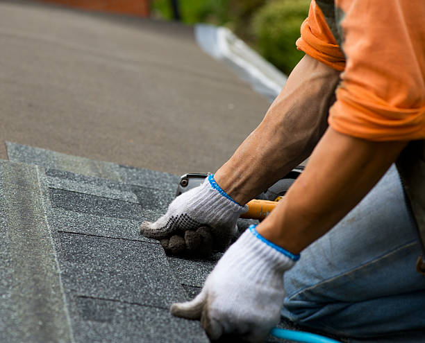 Best Storm Damage Roof Repair  in Ronan, MT